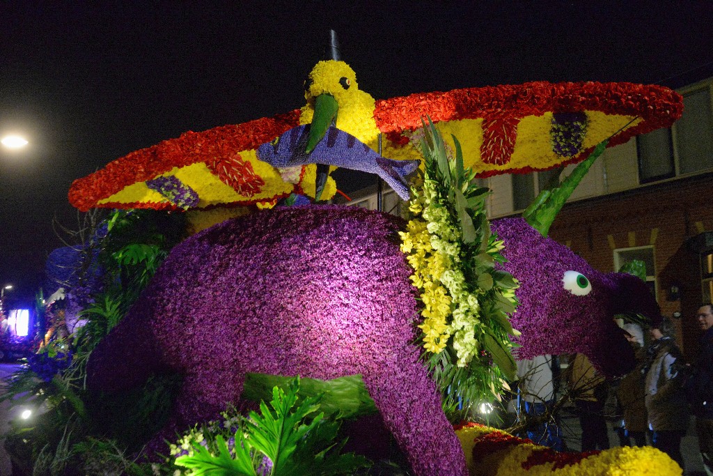 ../Images/Verlicht corso Noordwijkerhout 2019 062.jpg